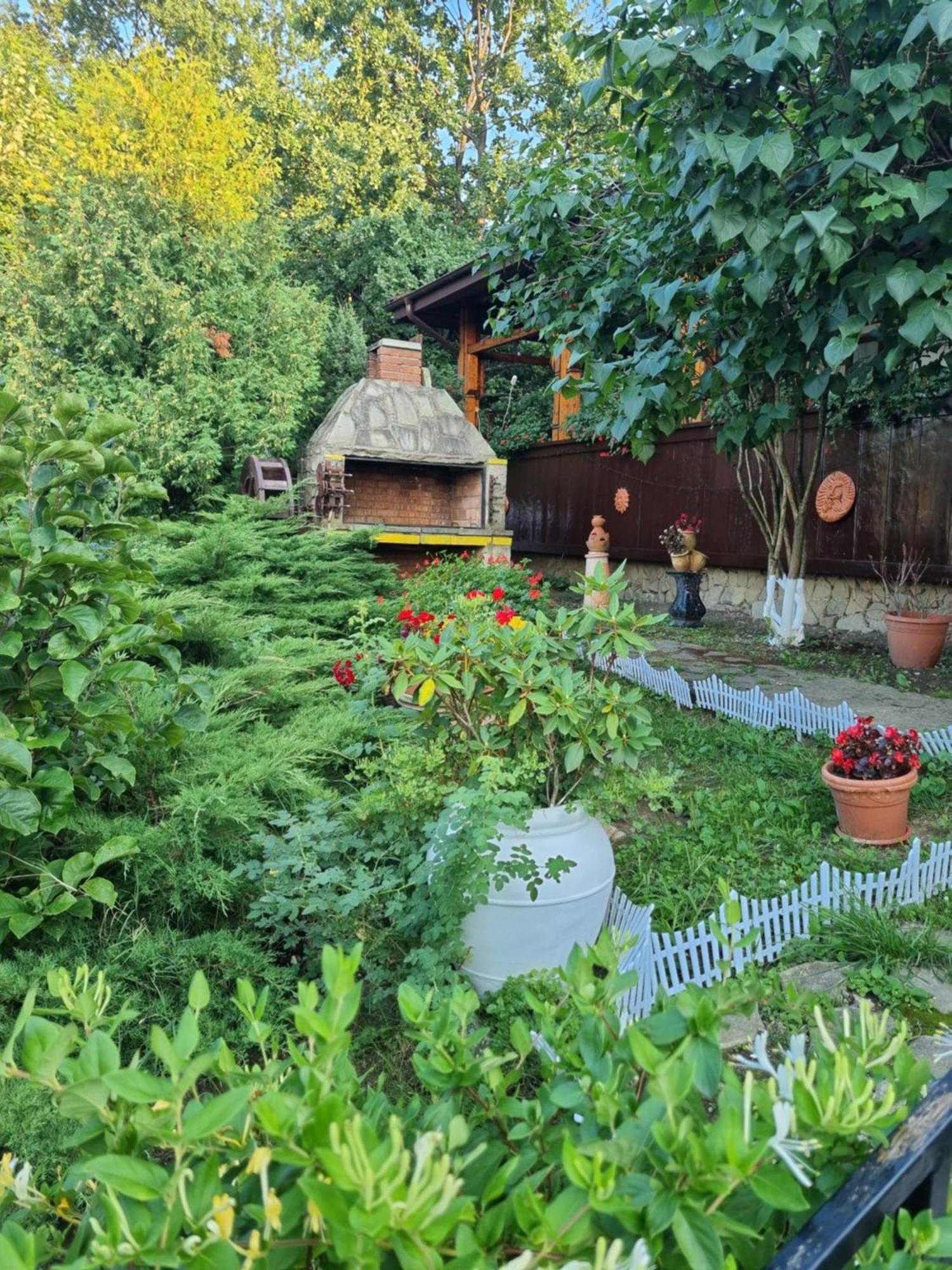 Casa Boiereasca Hotel Iasi Eksteriør billede