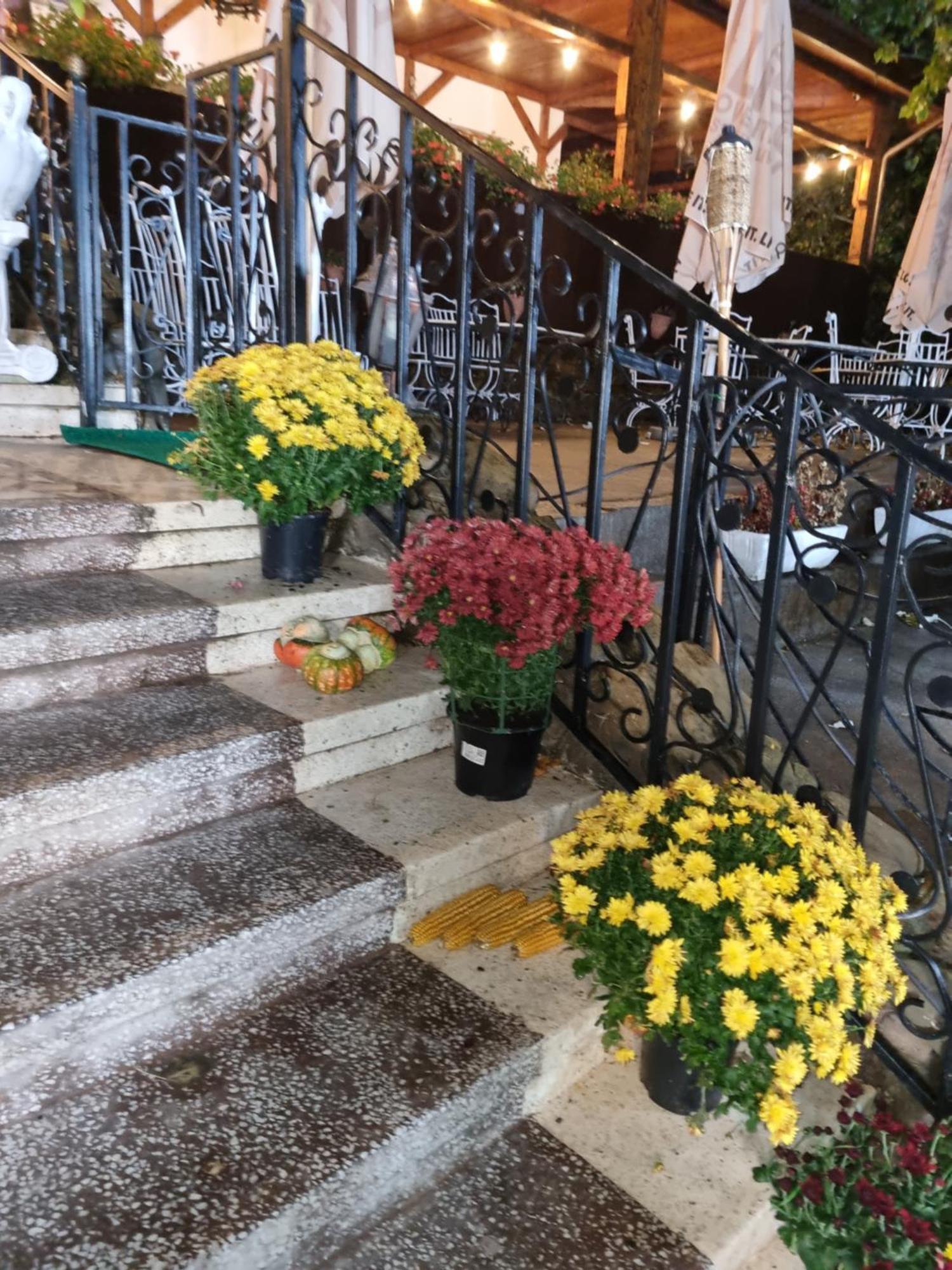 Casa Boiereasca Hotel Iasi Eksteriør billede