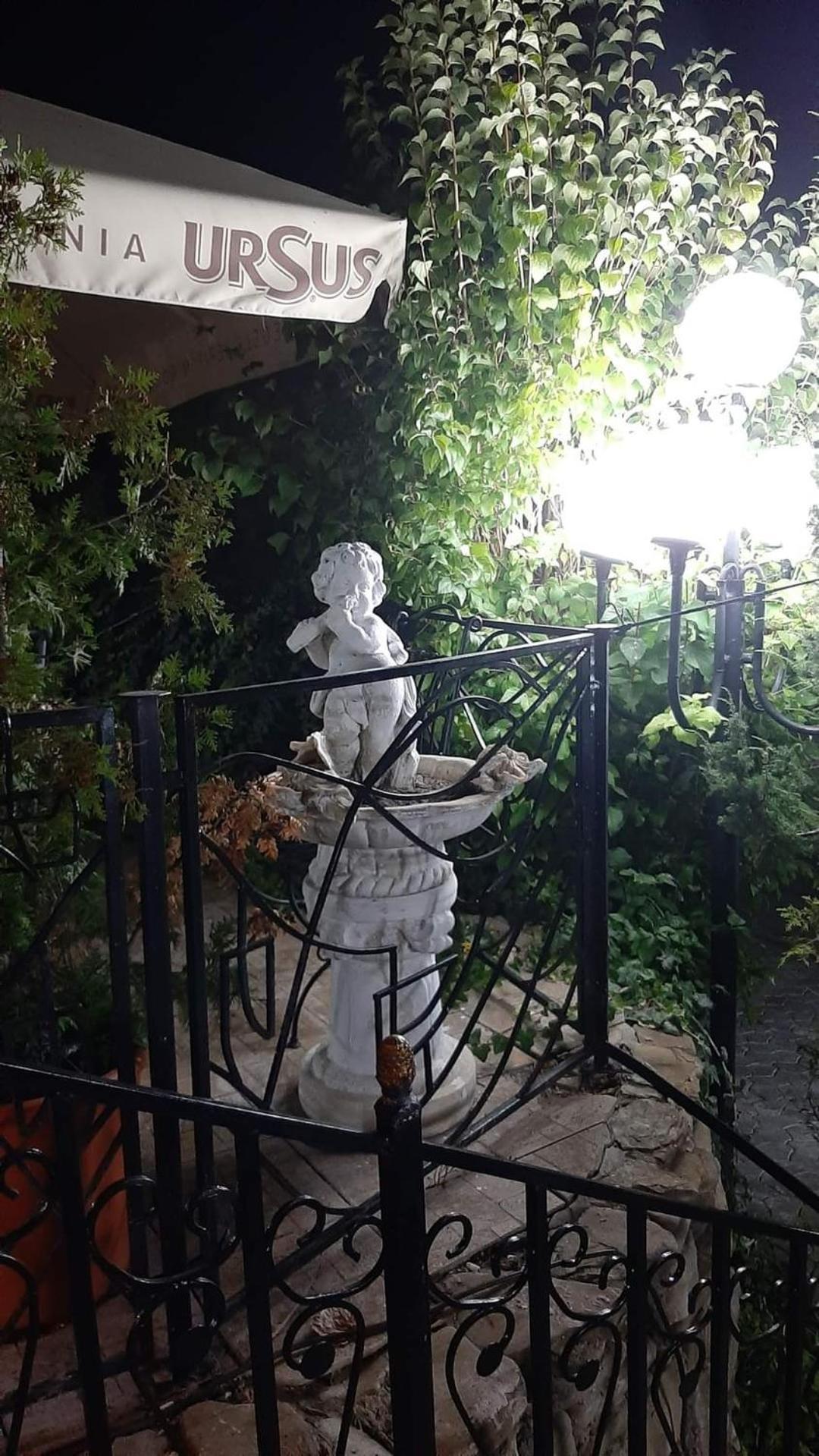 Casa Boiereasca Hotel Iasi Eksteriør billede