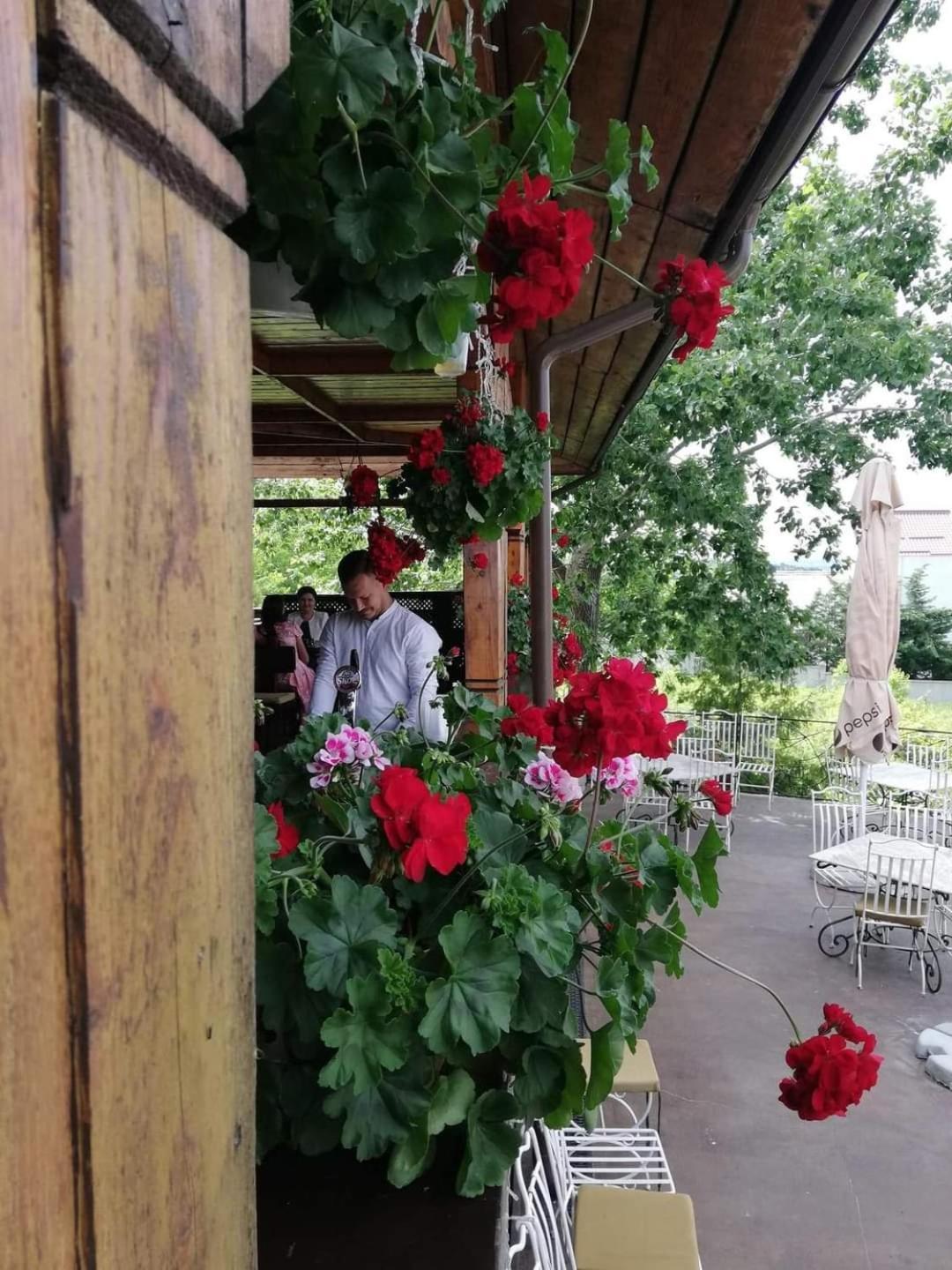 Casa Boiereasca Hotel Iasi Eksteriør billede